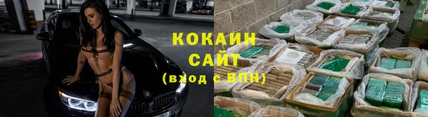 сатива Балахна
