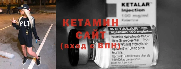 сатива Балахна