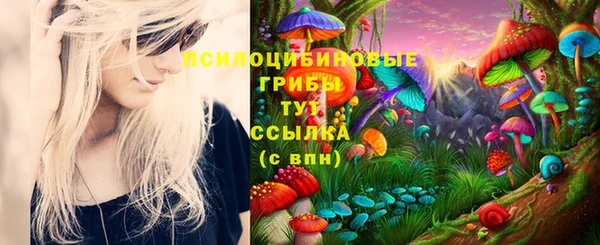 спиды Балабаново