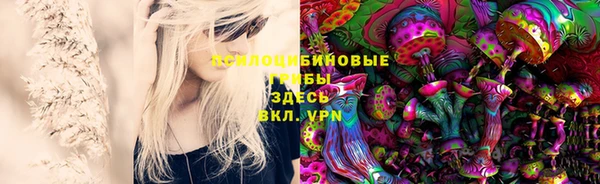 PSILOCYBIN Армянск