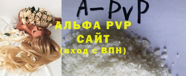 сатива Балахна