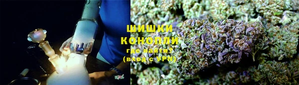 сатива Балахна