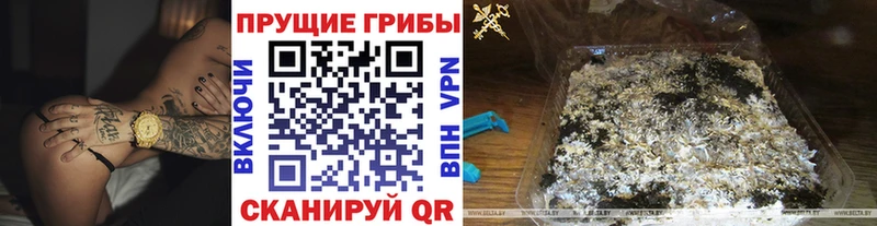 MEGA маркетплейс  Петухово  Галлюциногенные грибы GOLDEN TEACHER 